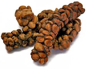 Kopi Luwak is really disgusting Kopi Luwak